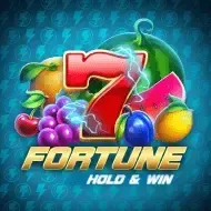Fortune Hold and Win game thumbnail